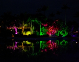 feature-landscape-lighting-2